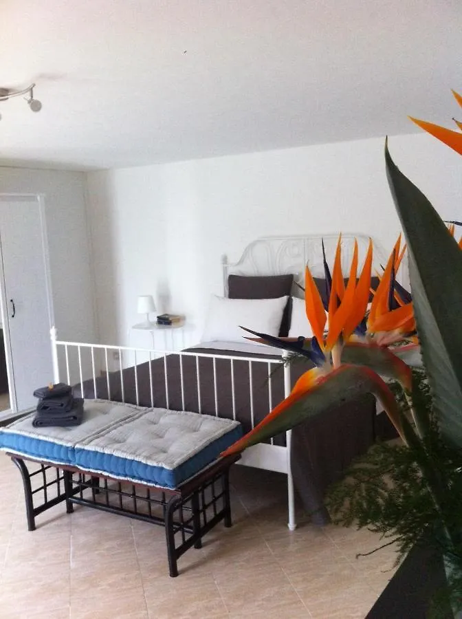 Villa La Rina Palermo Apartment