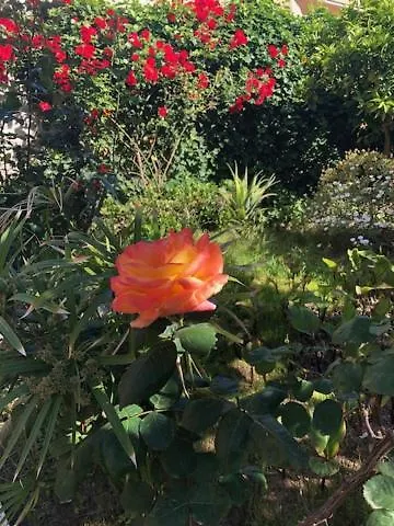 Villa La Rina Palermo Italy